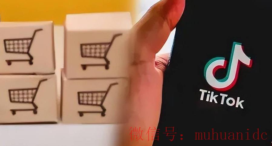 tiktok账号购买平台