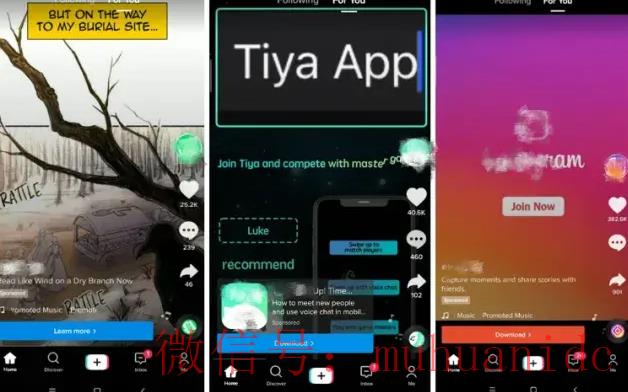 tiktok账号购买平台