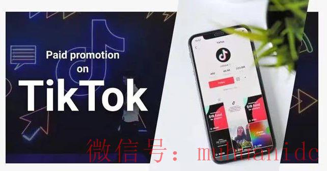 tiktok账号购买平台