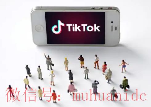tiktok账号购买平台