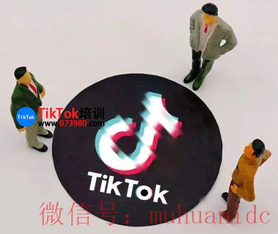 tiktok账号购买平台