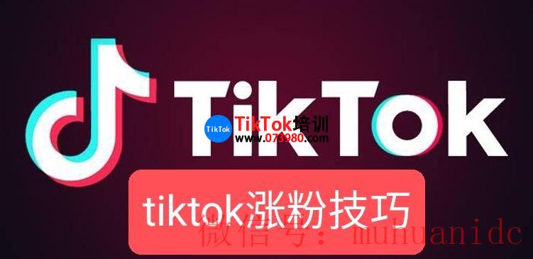 tiktok账号购买平台