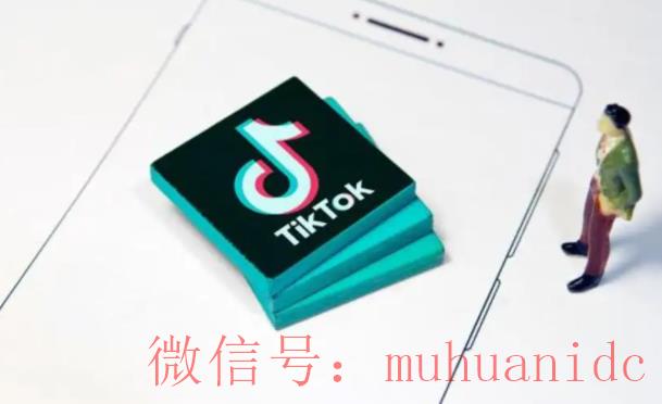 tiktok账号购买平台