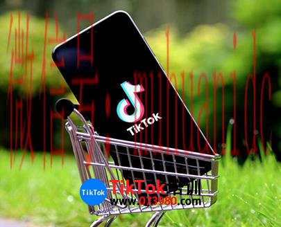 tiktok账号购买平台