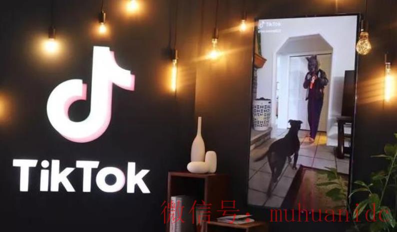 tiktok账号购买平台