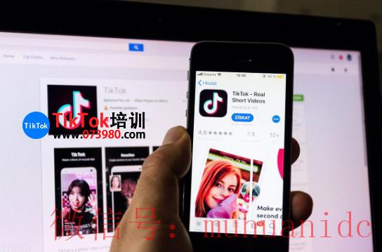 tiktok账号购买平台