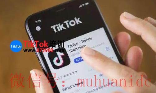 tiktok账号购买平台