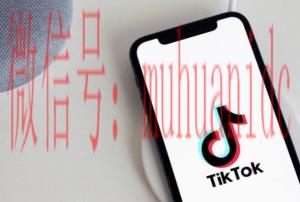 tiktok账号购买平台