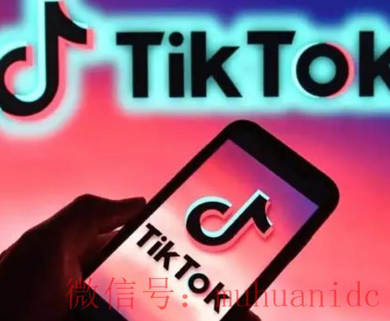tiktok账号购买平台