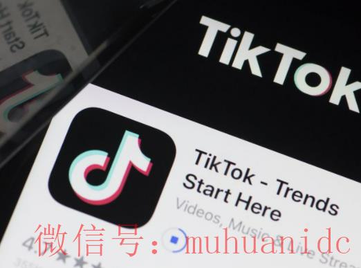 tiktok账号购买平台