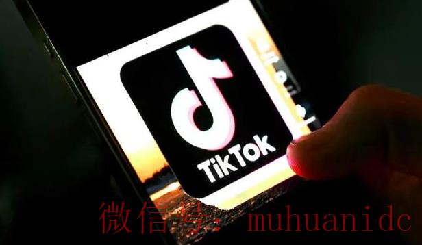 tiktok账号购买平台