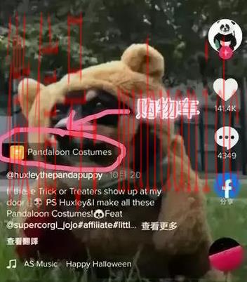 tiktok账号购买平台