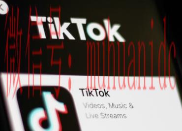 tiktok账号购买平台