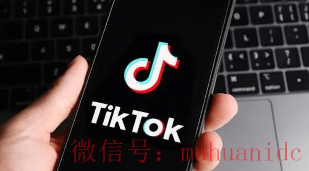 tiktok账号购买平台