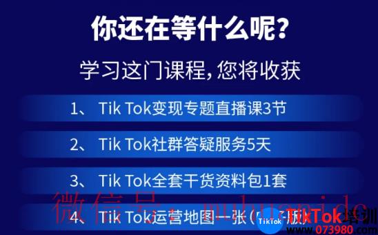 tiktok账号购买平台