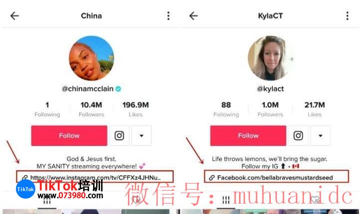 tiktok账号购买平台