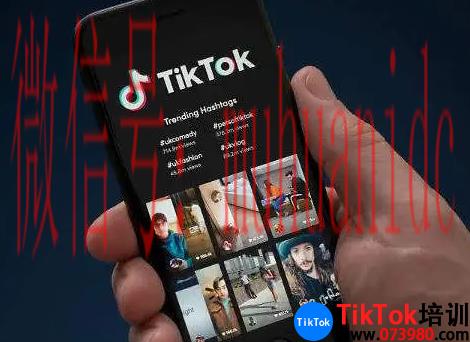 tiktok账号购买平台