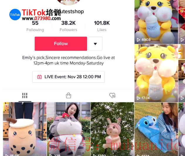 tiktok账号购买平台