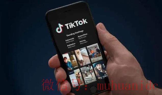 tiktok账号购买平台