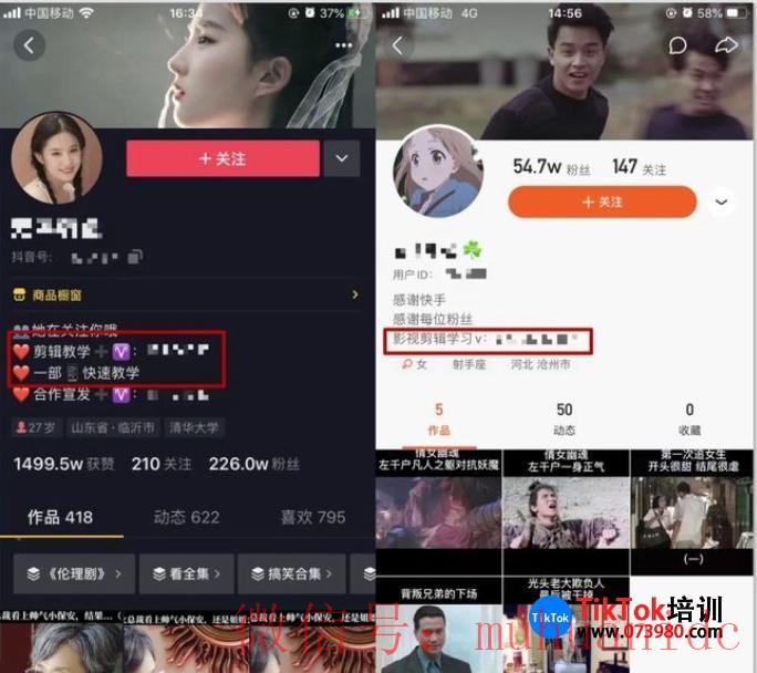 tiktok账号购买平台
