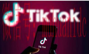 tiktok账号购买平台