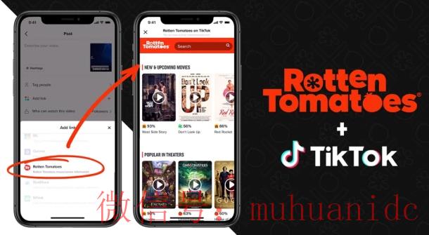 tiktok账号购买平台