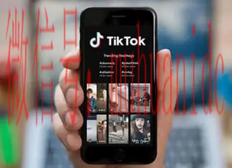 tiktok账号购买平台