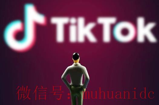 tiktok账号购买平台
