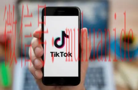 tiktok账号购买平台