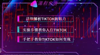 tiktok账号购买平台