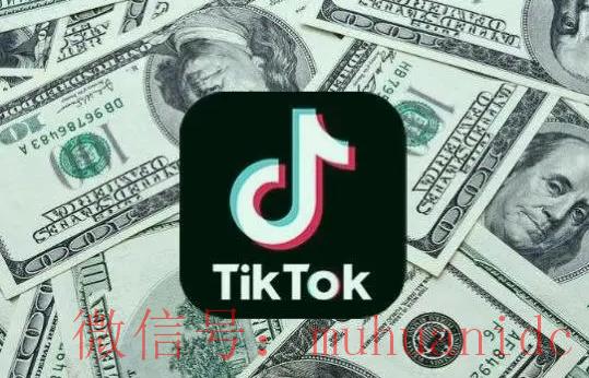 tiktok账号购买平台