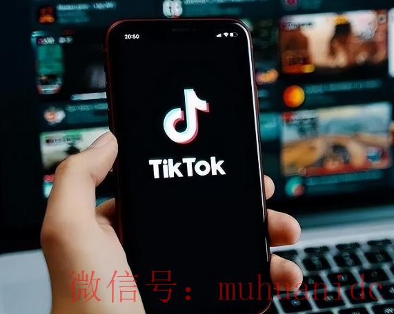 tiktok账号购买平台