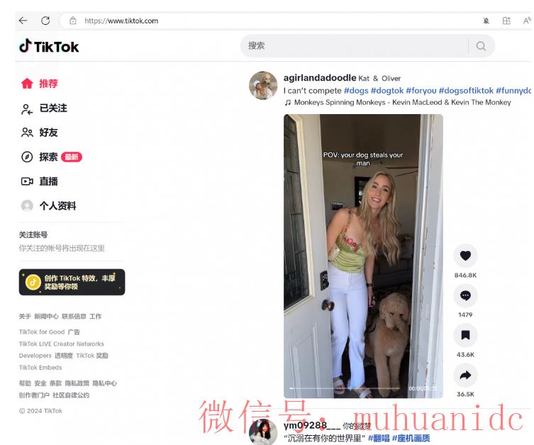 tiktok账号购买平台