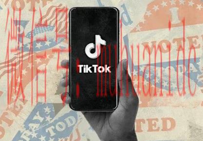 tiktok账号购买平台