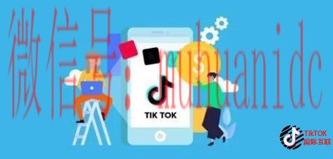 tiktok账号购买平台