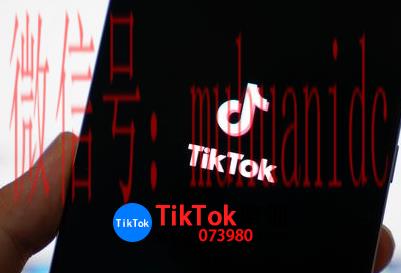 tiktok账号购买平台