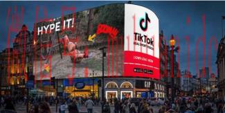 tiktok账号购买平台