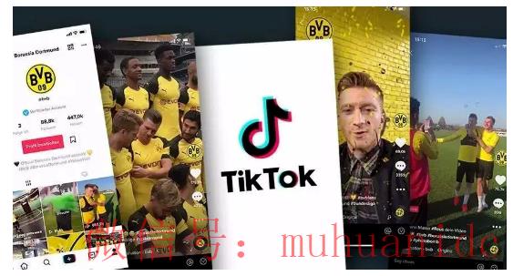 tiktok账号购买平台