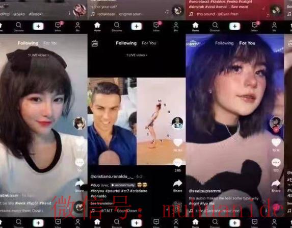 tiktok账号购买平台