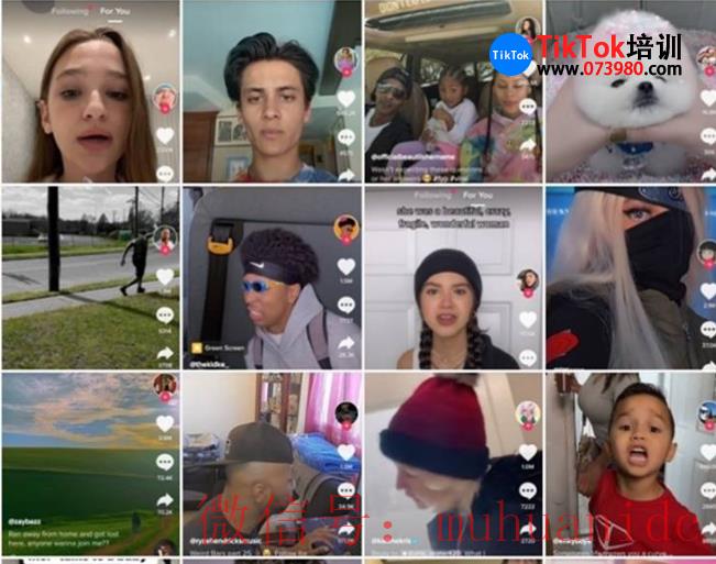 tiktok账号购买平台