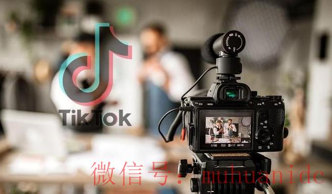 tiktok账号购买平台