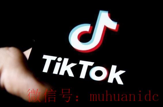 tiktok账号购买平台