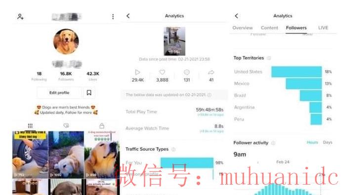tiktok账号购买平台