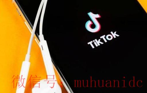 tiktok账号购买平台