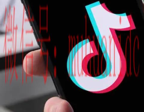 tiktok账号购买平台