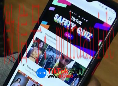 tiktok账号购买平台