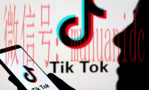 tiktok账号购买平台
