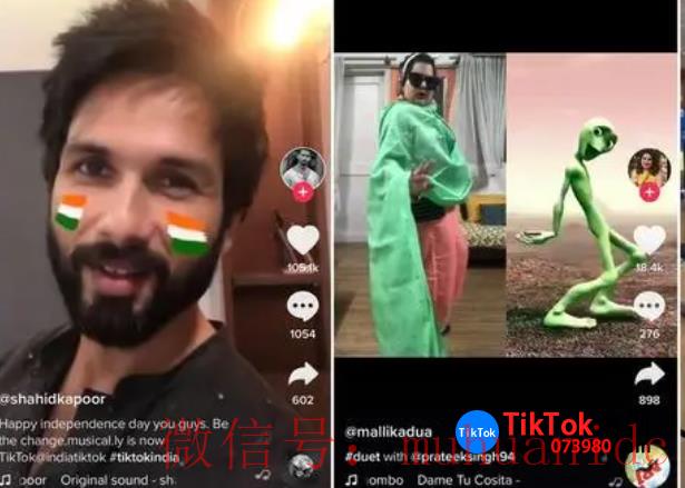 tiktok账号购买平台