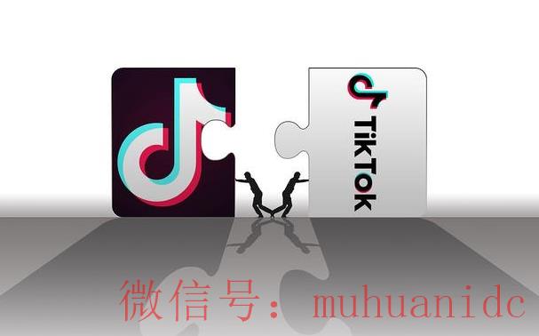 tiktok账号购买平台