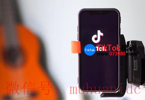 tiktok账号购买平台